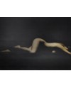 LAMINA·FIGURA FEMENINA·70x50